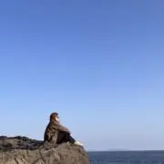 エンエンのフォレストの画像