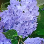 かずま※プロフ確認お願いしますの画像