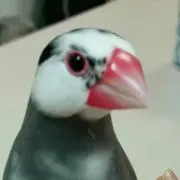 なほ