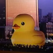 ナエナエ