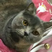 はーちゃん