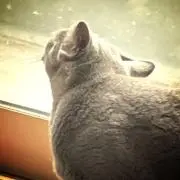 カオル