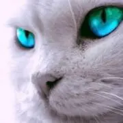 spinの画像