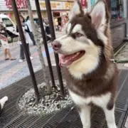 あ