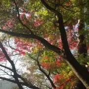うぃうぃ。の画像