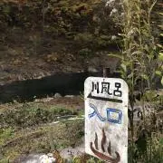 華丸