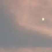 かにの画像