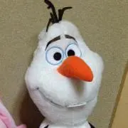 noz