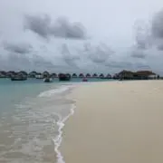 あちまるの画像