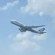 あずまの画像
