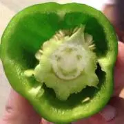 さんた
