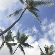 Bay-ya