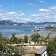 たまの画像