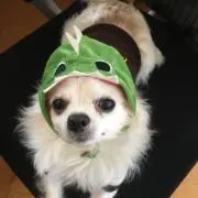 みぃの画像