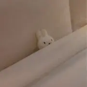 ☺︎☺︎の画像