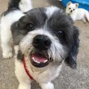みーの画像
