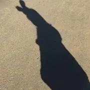 hahahaの画像