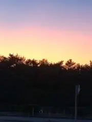 MRNの画像