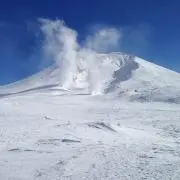フラの画像