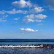 aozoraの画像