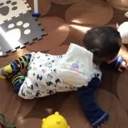 だっく