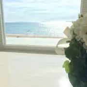 cocoの画像