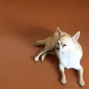 na⁑miの画像