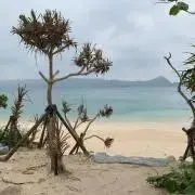 ⭐︎ハッピースマイル⭐︎の画像