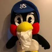 AKI-IHAの画像