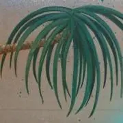N / 値段交渉不可/購入時コメント希望