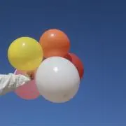 ゆうちゃんの画像