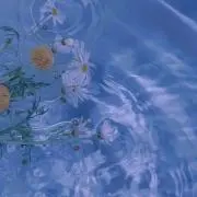 aaaaa0011の画像