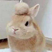 める◎発送早めの画像