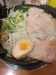 スルメの画像
