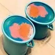 ビスコの画像