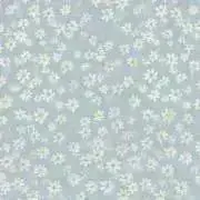 AkuBiの画像