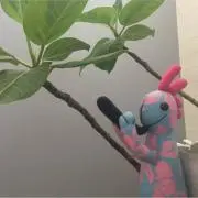 パセリの画像