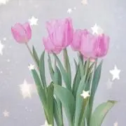 Hi !! プロフ確認お願いしますの画像