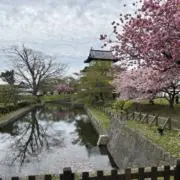 あやの画像