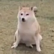 たいちぃ