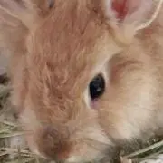 ゆん