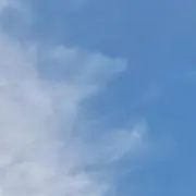 はる