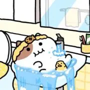 ✨の画像