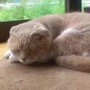 つん