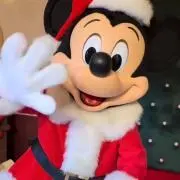 ゆーちゃんの画像