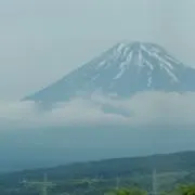よしの画像