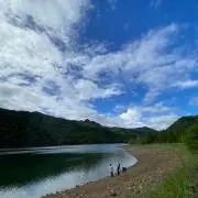 Sの画像