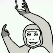 アチャコ