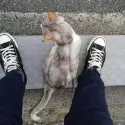 アゴヒゲさん