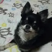 Ken